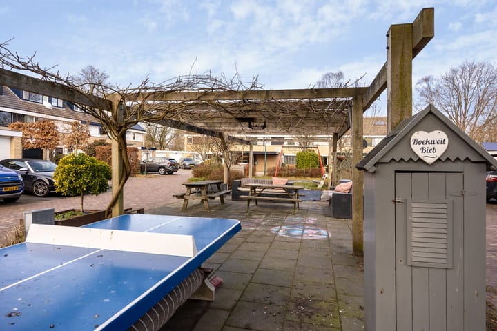 Foto 33 van Boekweitland 4