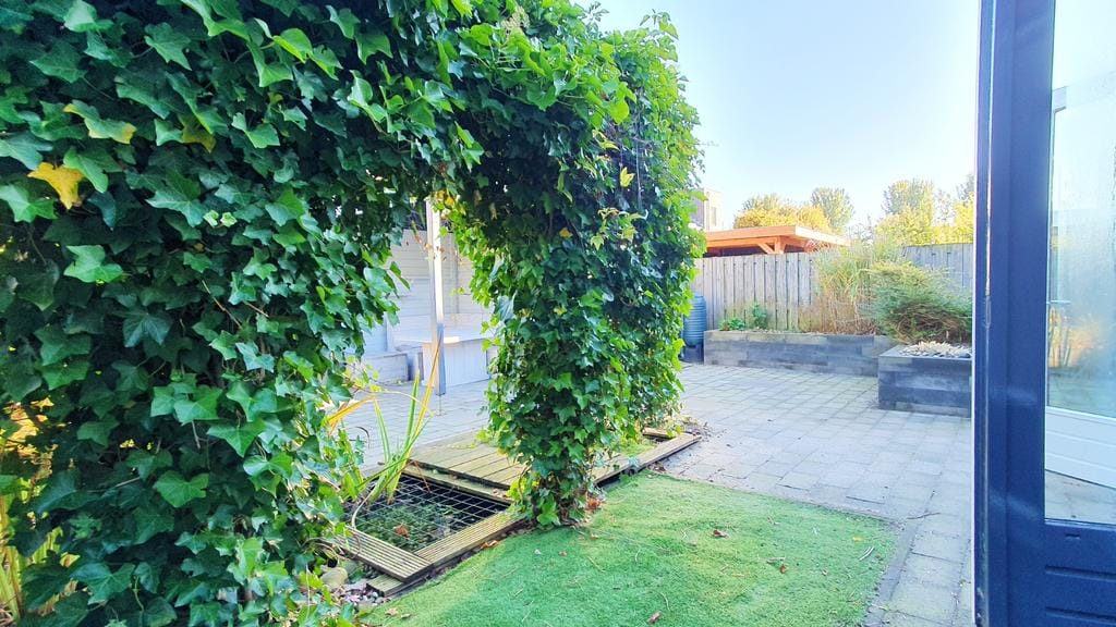 Foto 11 van Raaigras 10