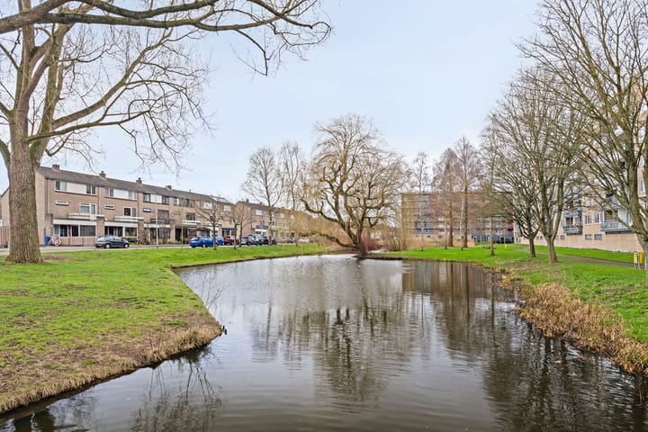 Foto 34 van Argostraat 110