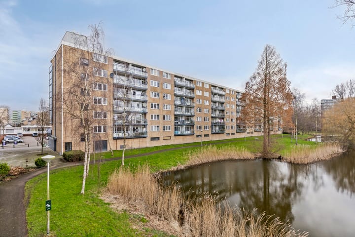 Foto 35 van Argostraat 110