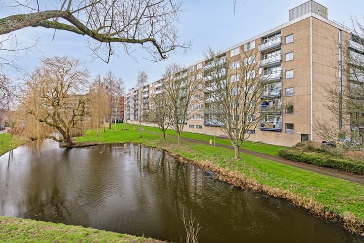 Foto 36 van Argostraat 110