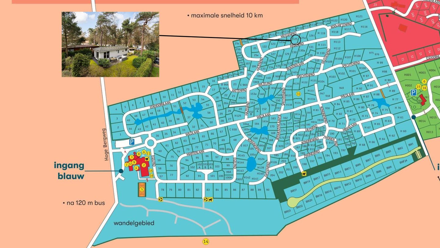 Photo 29 of Hoge Bergweg 16-125