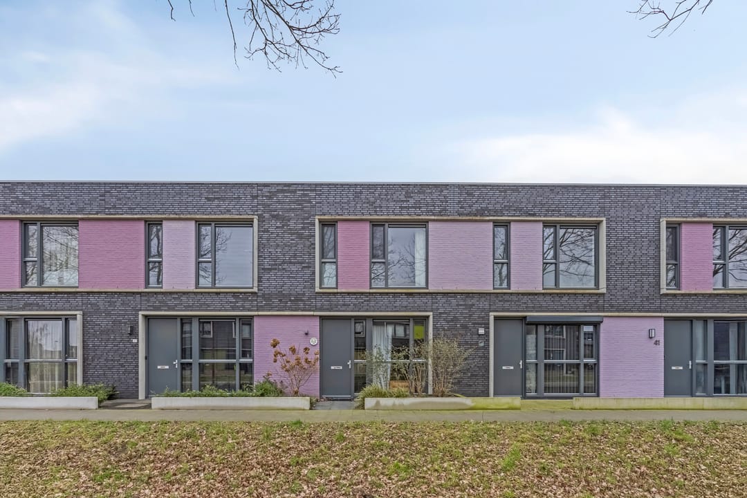 Foto 1 van Paardenbloem 45