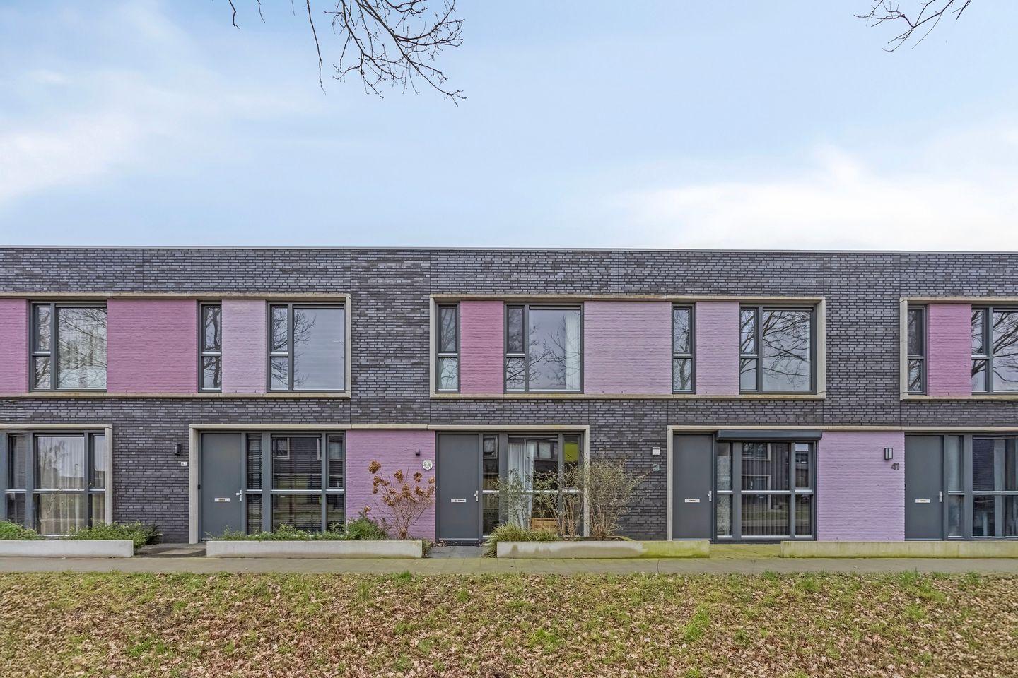 Foto 1 van Paardenbloem 45