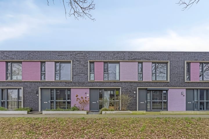 Foto 1 van Paardenbloem 45