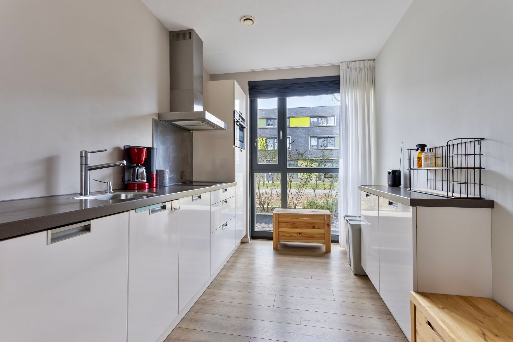 Foto 3 van Paardenbloem 45