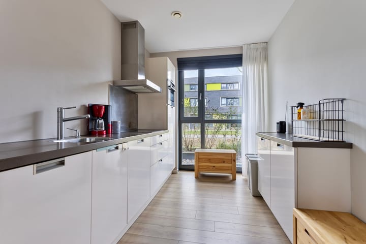 Foto 3 van Paardenbloem 45