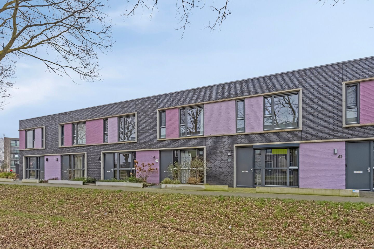 Foto 5 van Paardenbloem 45