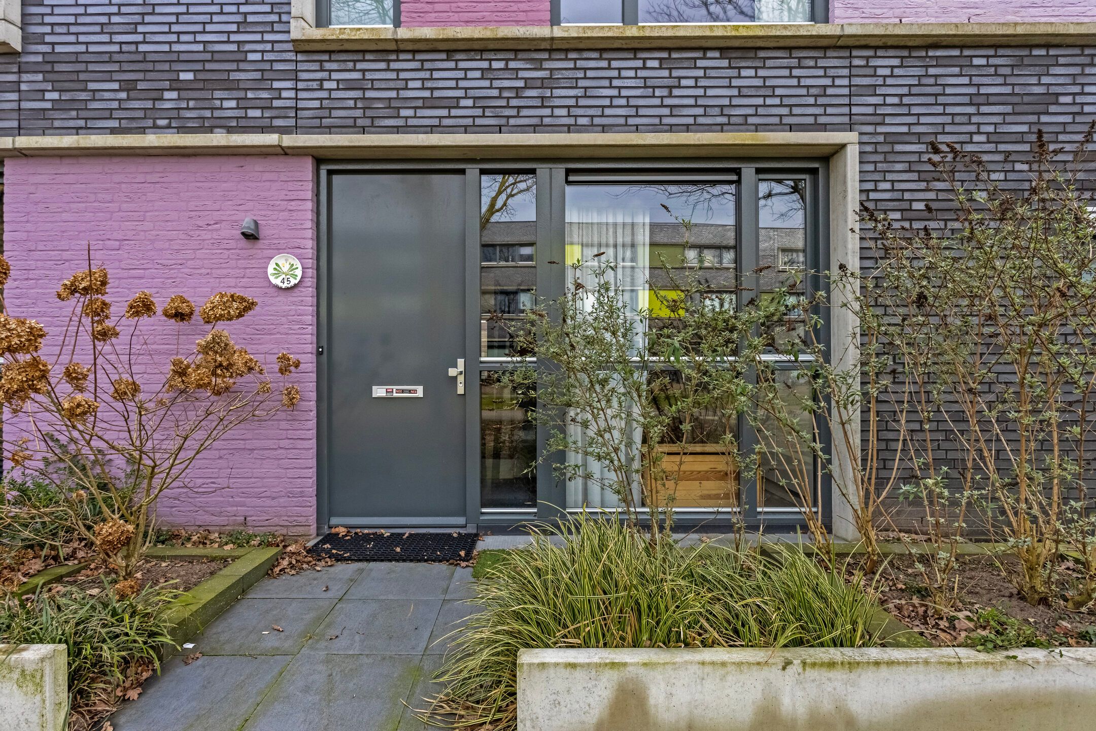 Foto 6 van Paardenbloem 45