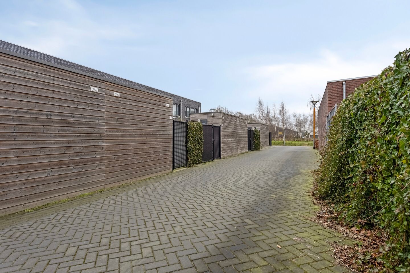 Foto 20 van Paardenbloem 45