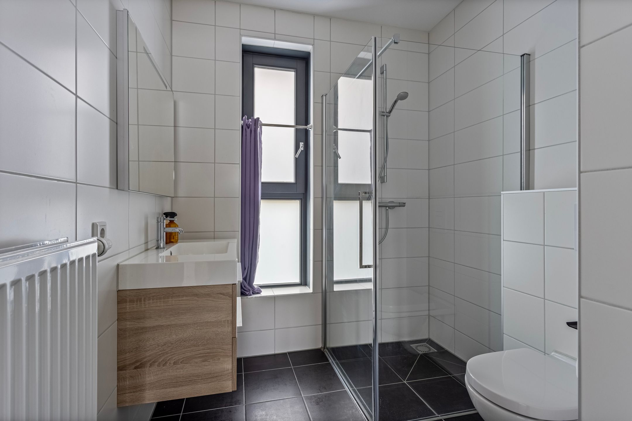 Foto 24 van Paardenbloem 45