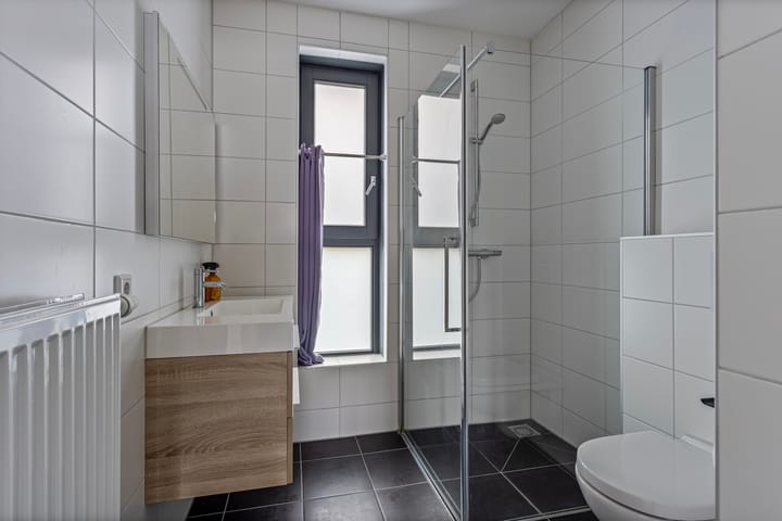 Foto 24 van Paardenbloem 45