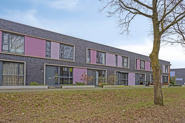 Foto 29 van Paardenbloem 45