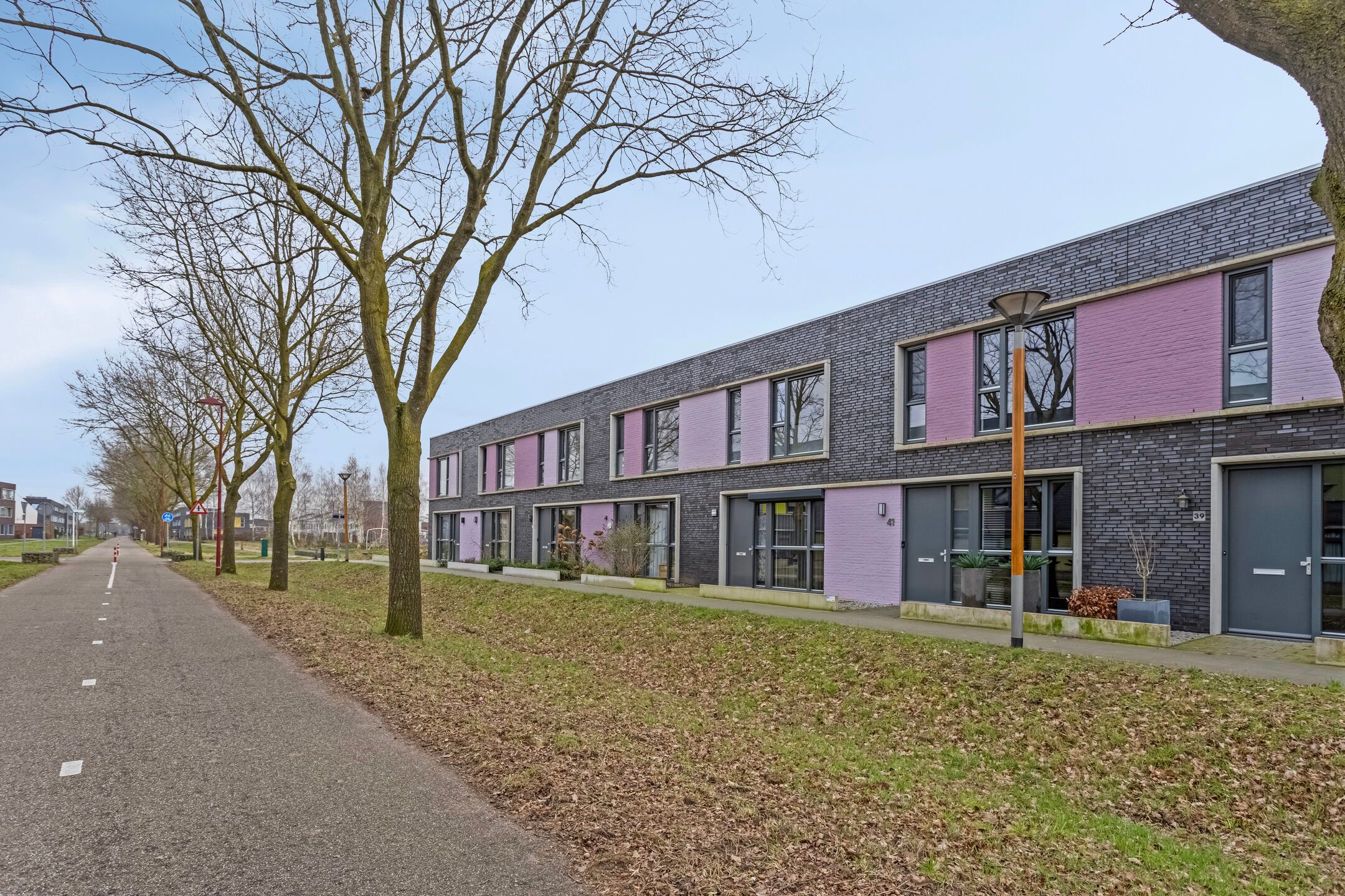 Foto 30 van Paardenbloem 45