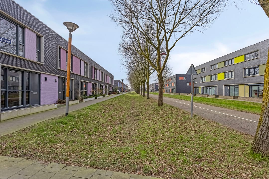 Foto 31 van Paardenbloem 45