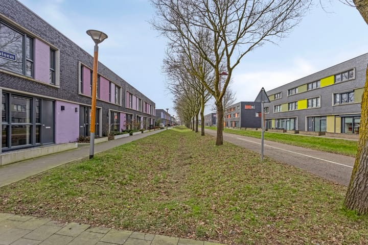 Foto 31 van Paardenbloem 45