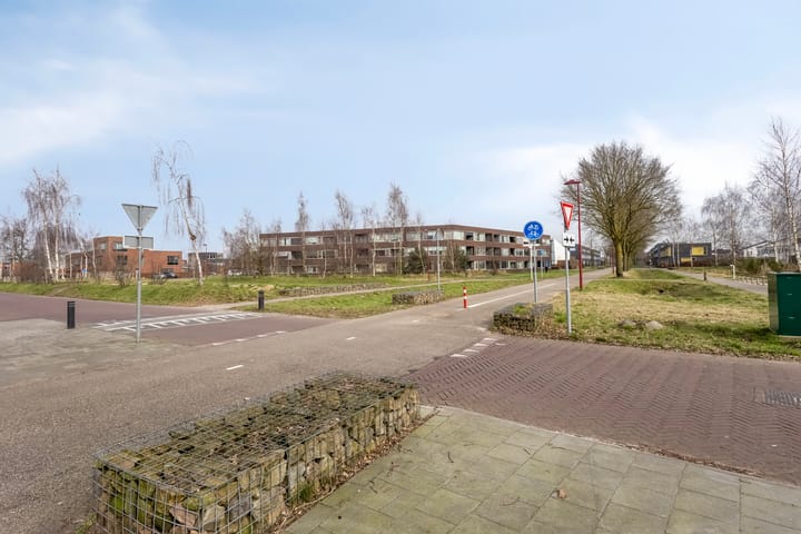 Foto 34 van Paardenbloem 45