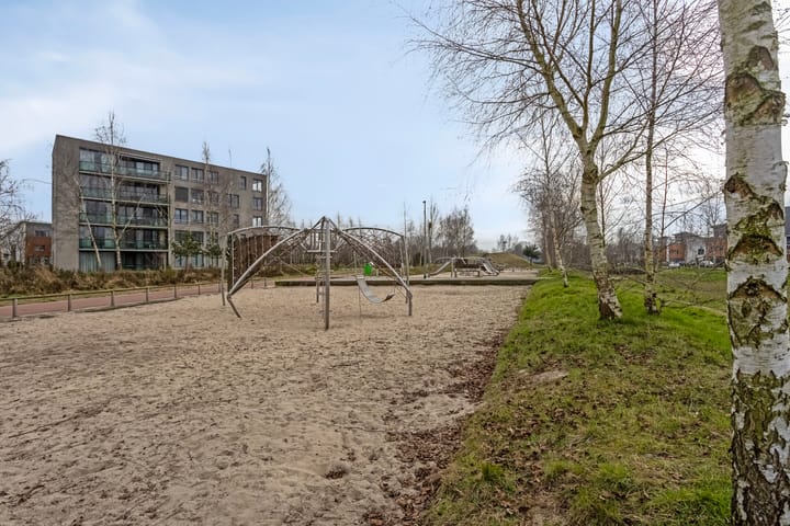 Foto 35 van Paardenbloem 45