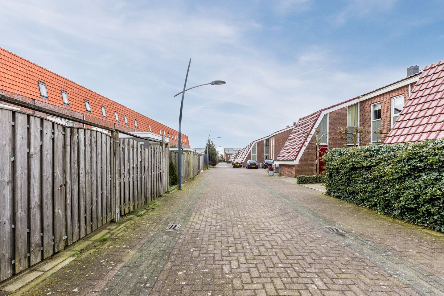 Foto 64 van IJsbloem 29