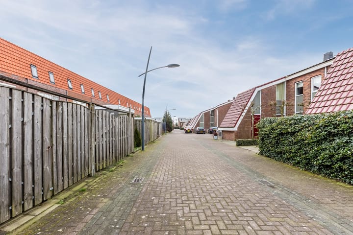 Photo 64 of IJsbloem 29