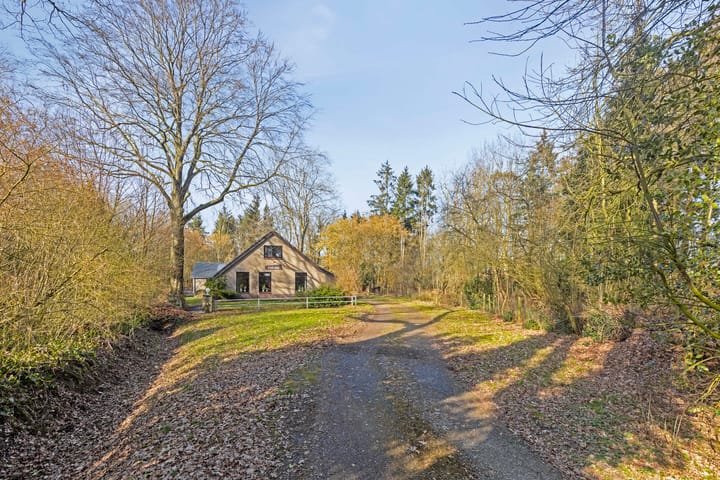 Foto 7 van Eursing 1