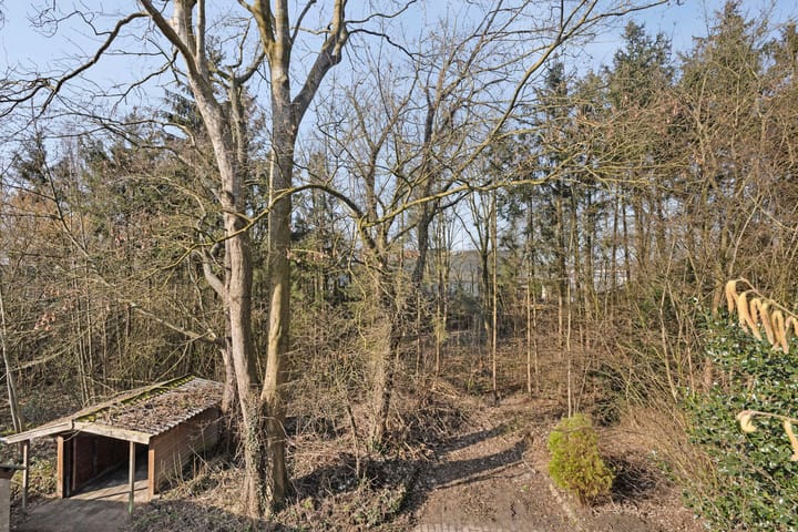 Foto 36 van Eursing 1