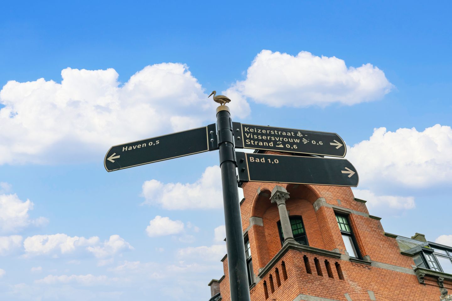 Foto 29 van Hoge Prins Willemstraat 174