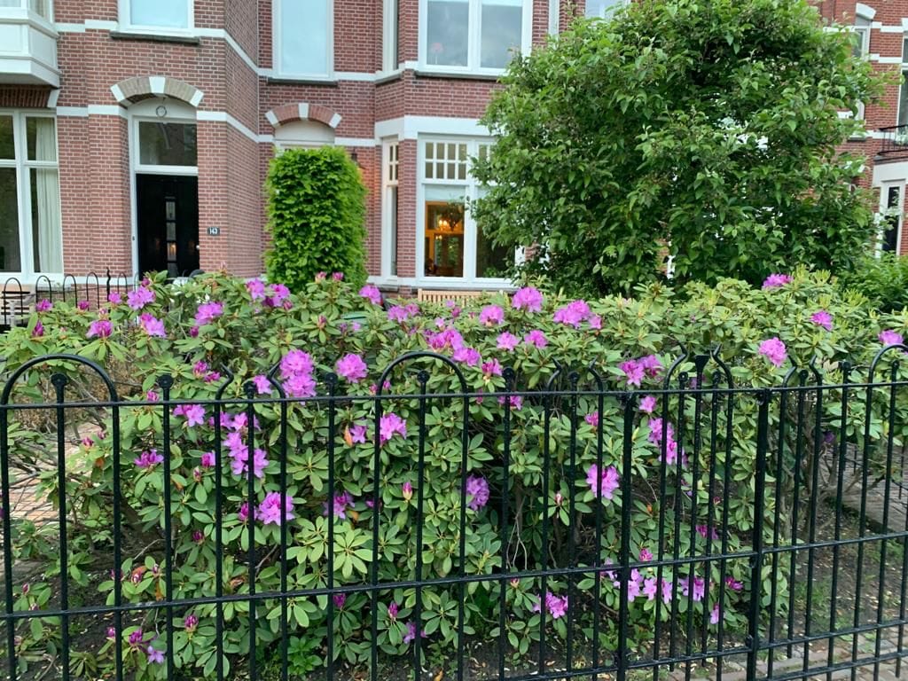 Foto 83 van Baronielaan 145