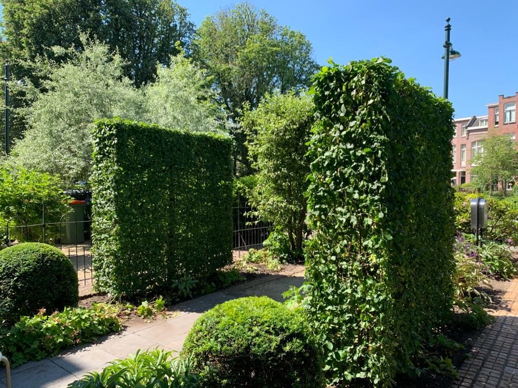 Foto 87 van Baronielaan 145