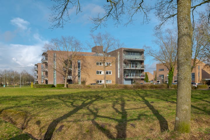 Foto 3 van Stoepveldsingel 107