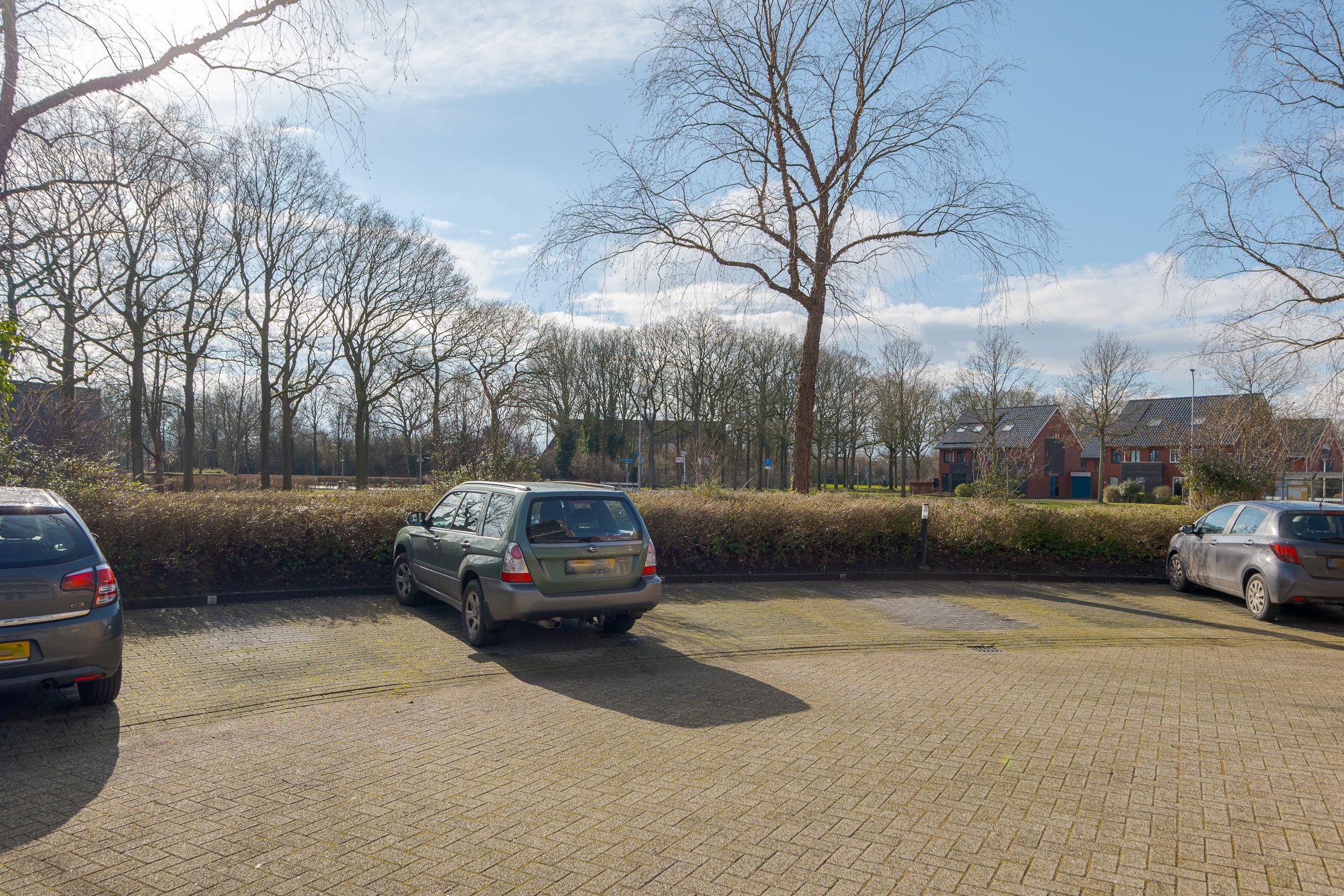 Foto 6 van Stoepveldsingel 107