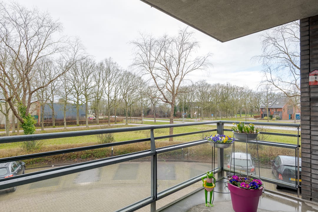 Foto 8 van Stoepveldsingel 107