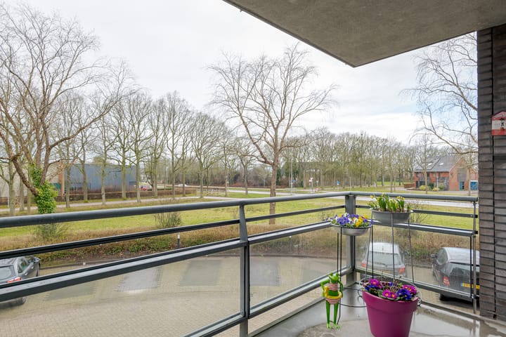 Foto 8 van Stoepveldsingel 107