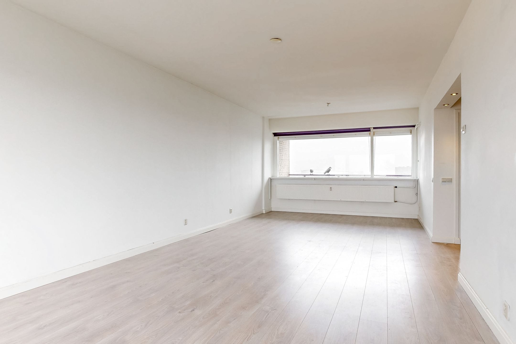 Foto 15 van Burgemeester Hogguerstraat 1131