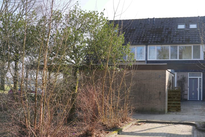 Foto 35 van Scorpius 15