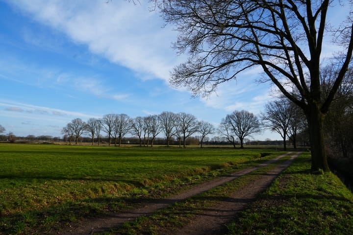 Foto 38 van Scorpius 15