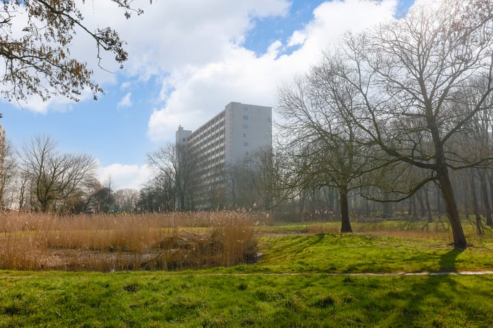 Foto 30 van Jisperveldstraat 268