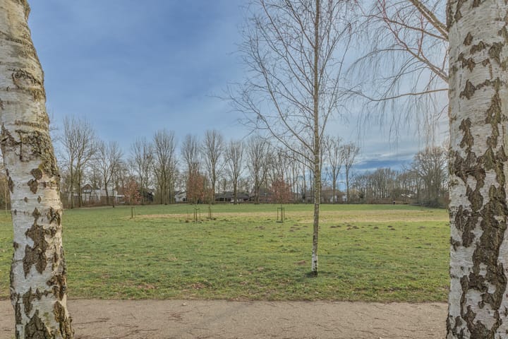 Foto 40 van De Bongerd 30