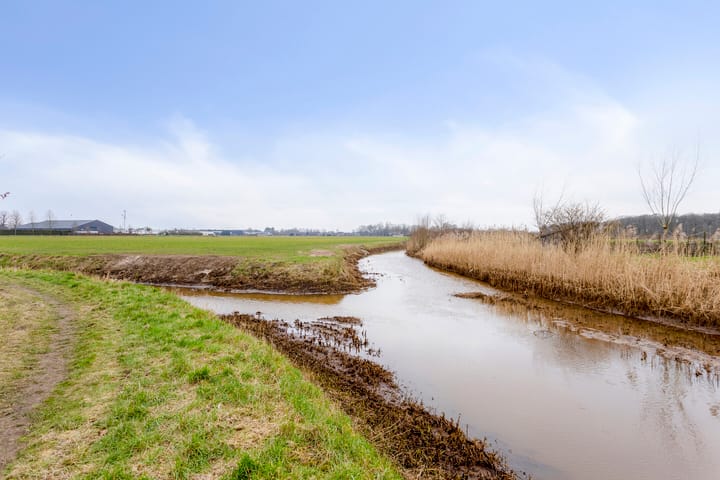 Foto 39 van Rozemarijn 12