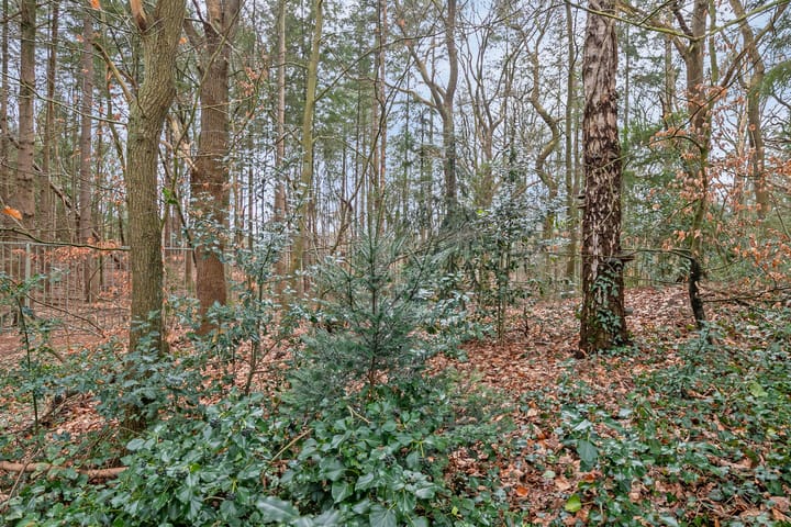 Foto 36 van Putterlaan 159