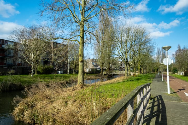 Foto 20 van Poederooienstraat 11