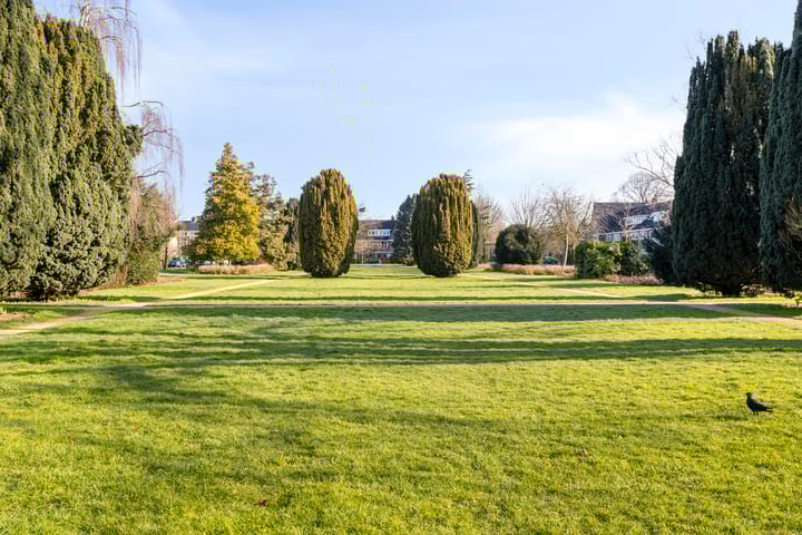 Foto 23 van Laan van Henegouwen 7