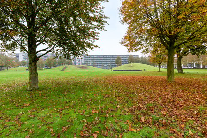 Foto 49 van Beukstraat 10