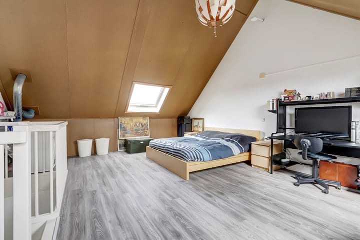 Photo 34 of Boreasplantsoen 38