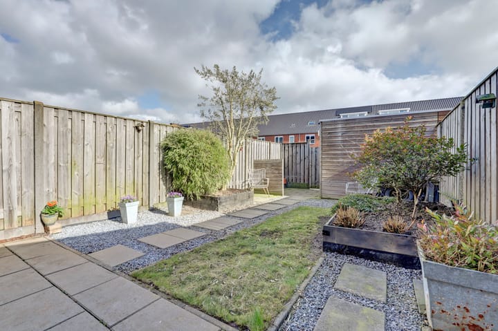 Photo 38 of Boreasplantsoen 38