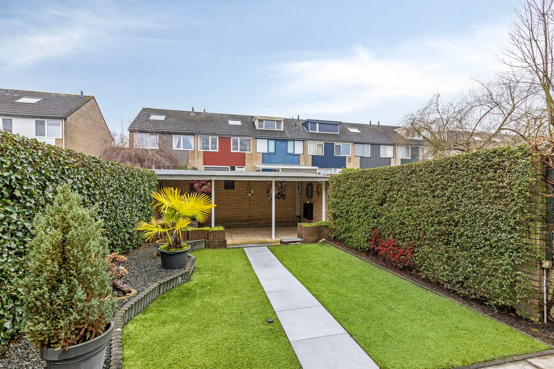 Foto 2 van Zandgors 12