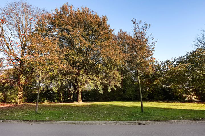 Foto 32 van Kraaijenberg 7307