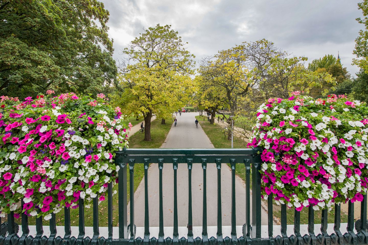 Foto 29 van Eerste Helmersstraat 241-H