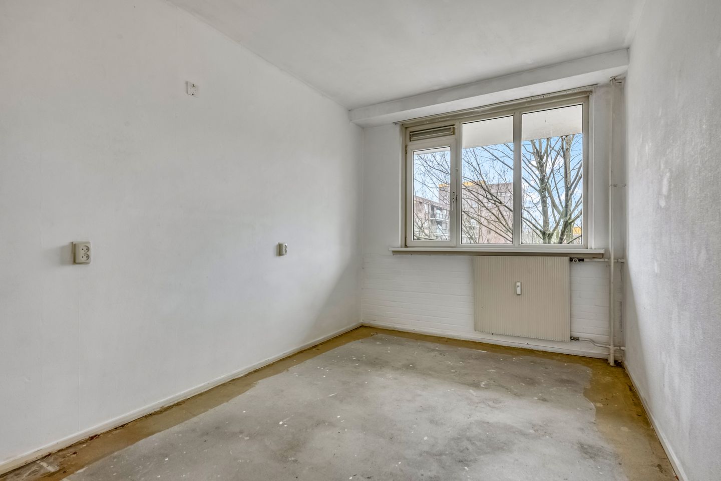 Foto 10 van Mennonietenweg 43