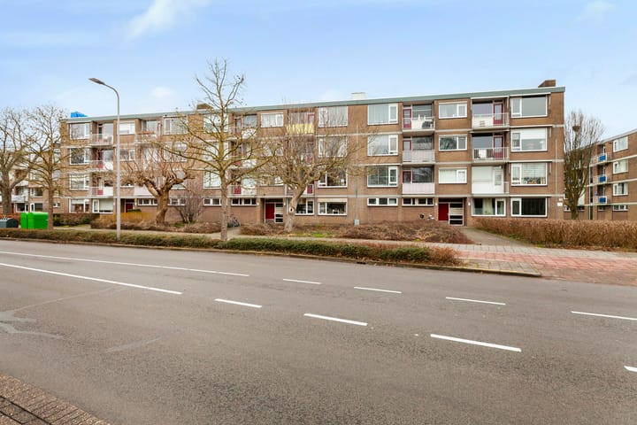 Foto 29 van Burgemeester de Zeeuwstraat 184